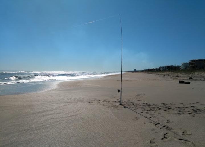 WhatsApp Image 2020-06-08 at 2.45.38 PM