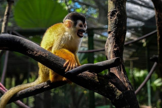 WhatsApp Image 2020-06-08 at 8.05.59 AM