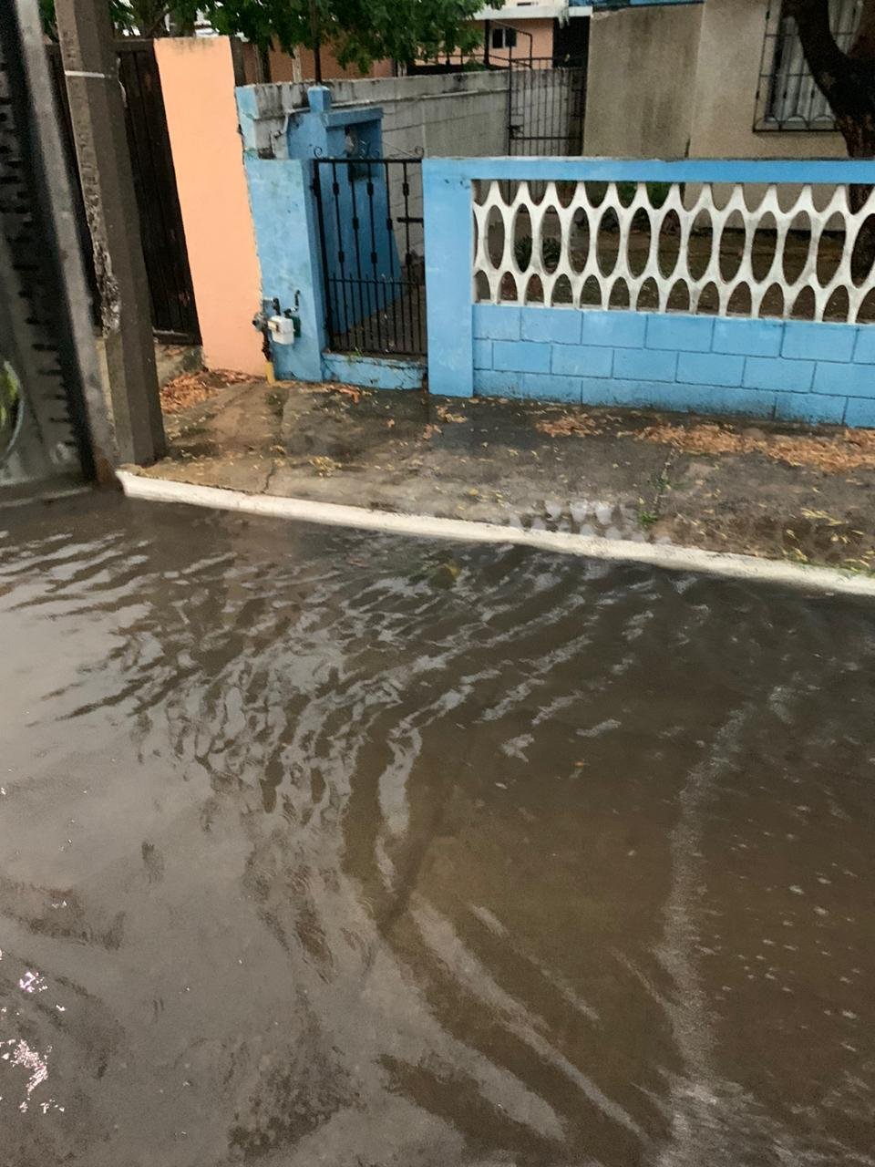 WhatsApp Image 2020-06-10 at 3.17.54 PM