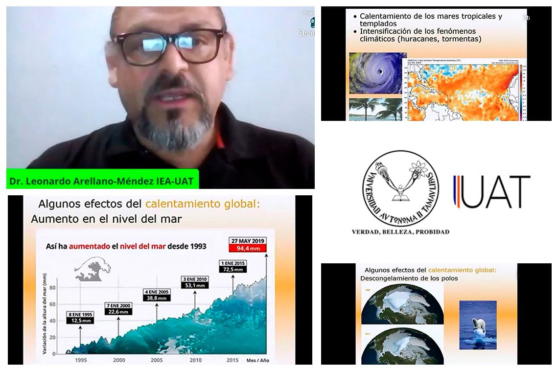 collage UAT ecosistemas costeros 17 06 2020