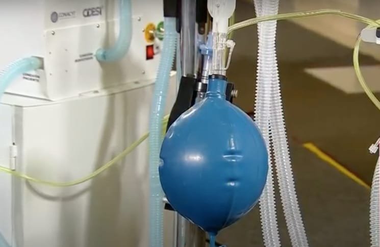 WhatsApp Image 2020-07-14 at 12.06.59 PM