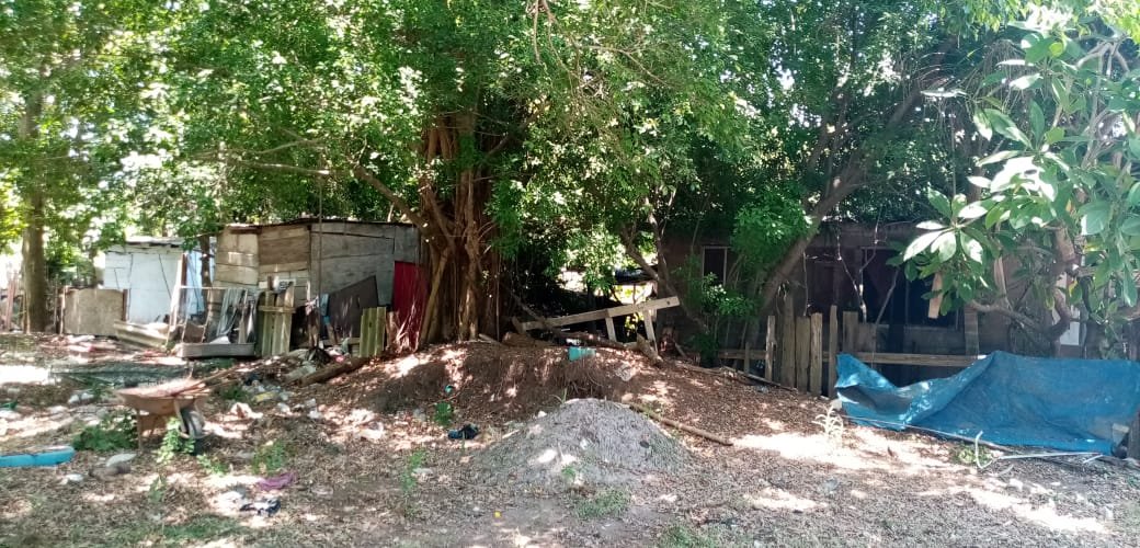 WhatsApp Image 2020-07-21 at 5.26.37 PM