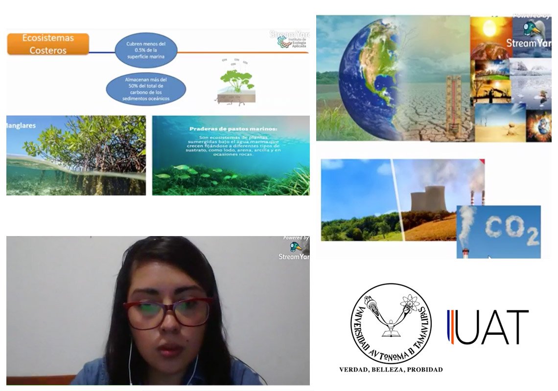 collage carbono 05 07 2020