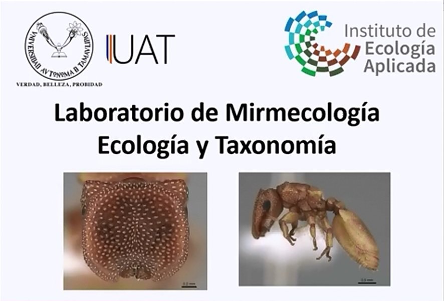 foto 1 laboratorio 21 07 2020