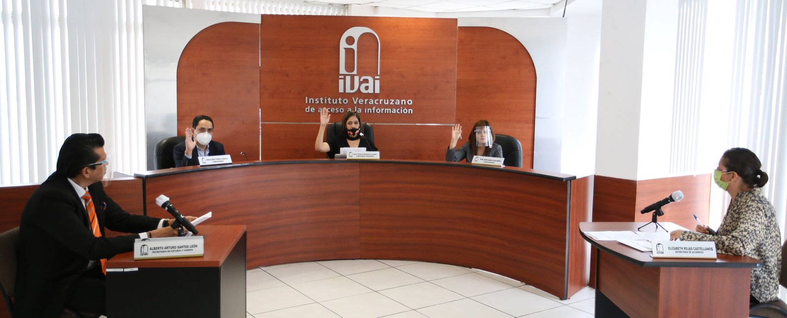 20200807_IVAI_Sesión Pública_1