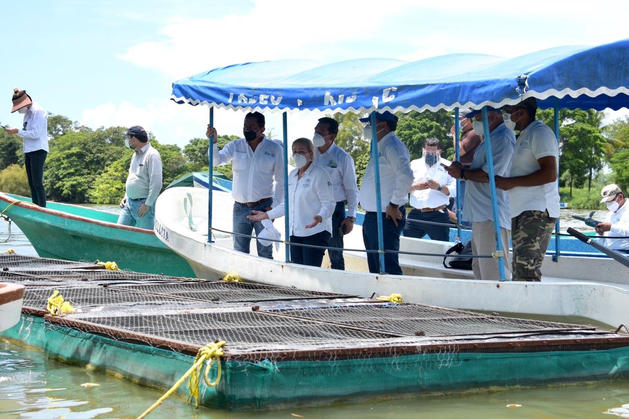 4WhatsApp Image 2020-08-18 at 17.25.14