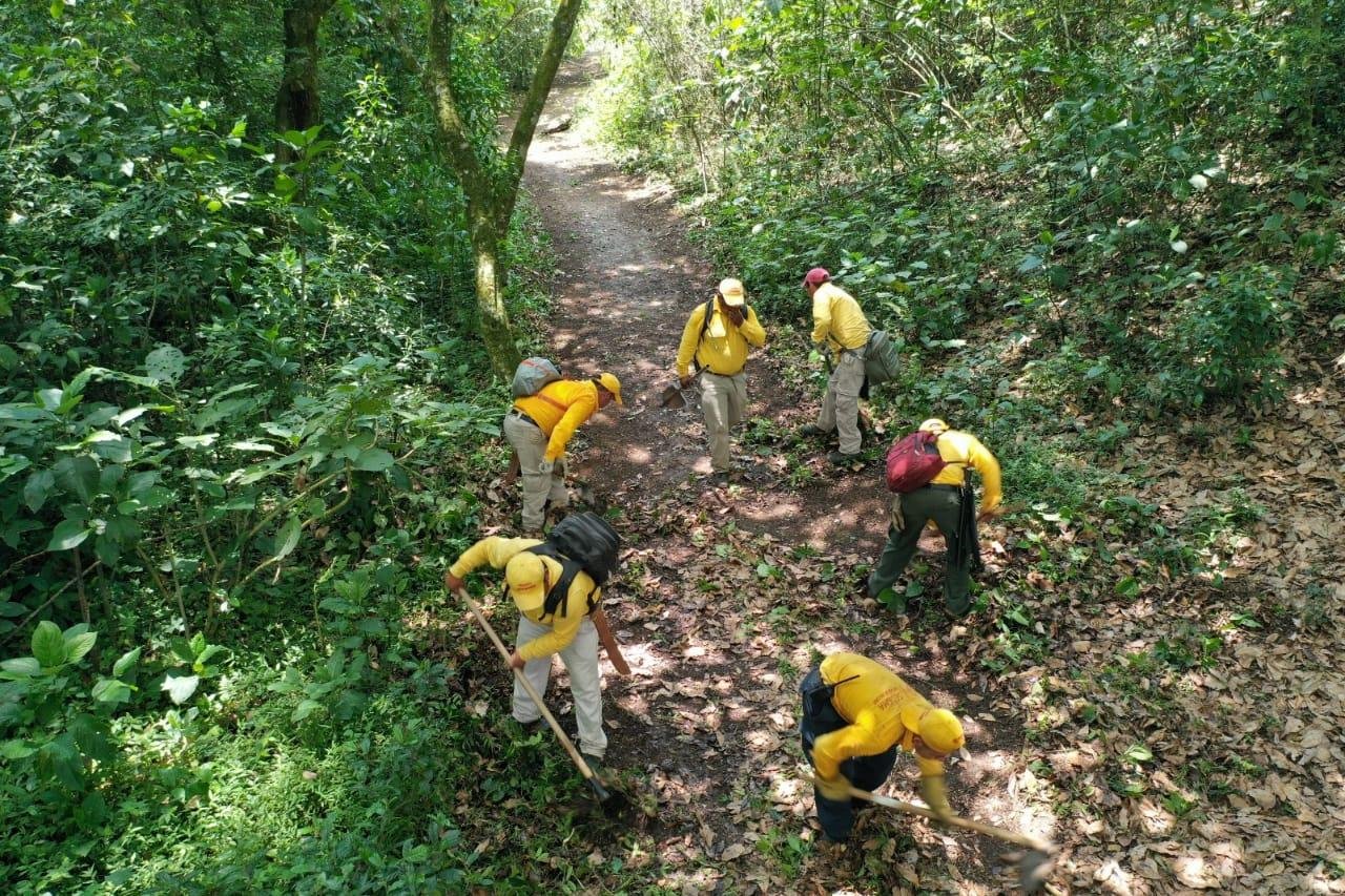 ACCIONES EN ÁREAS NATURALES PROTEGIDAS (1)