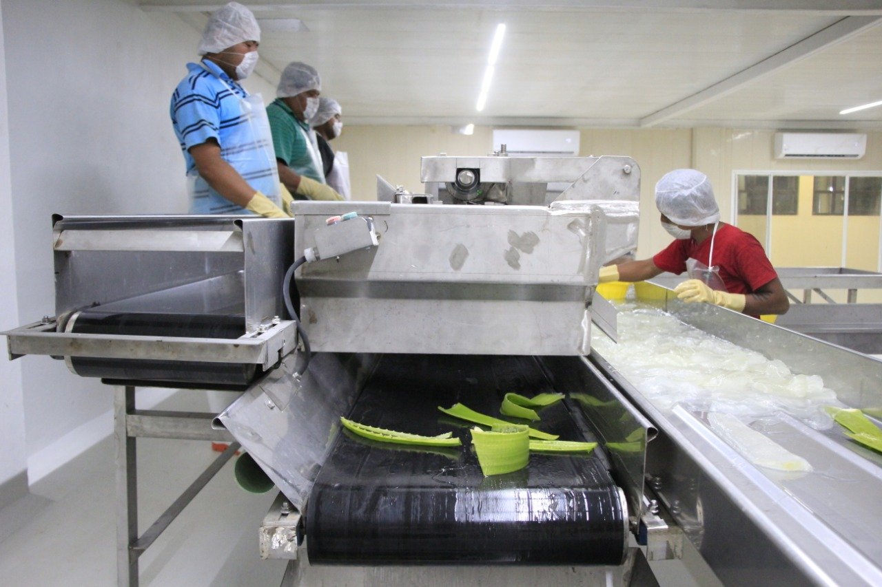 SDE-016-2020.-Es Tamaulipas cuarto lugar nacional en generación de empleo (3)