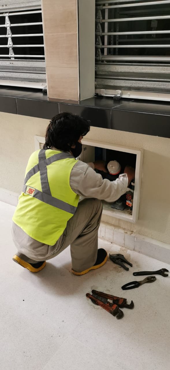 WhatsApp Image 2020-08-12 at 7.40.50 PM