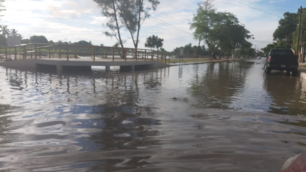 WhatsApp Image 2020-08-26 at 4.55.30 PM