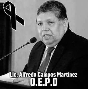 WhatsApp Image 2020-08-27 at 10.41.48 AM