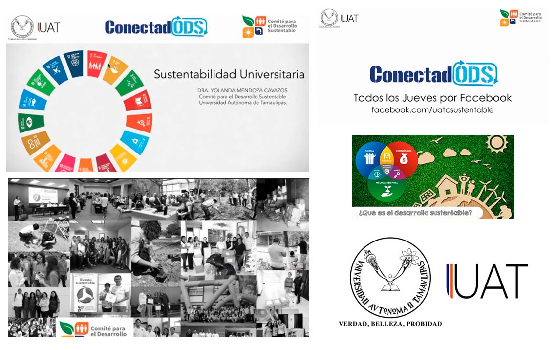 collage desarrolo sustentable 10 08 2020