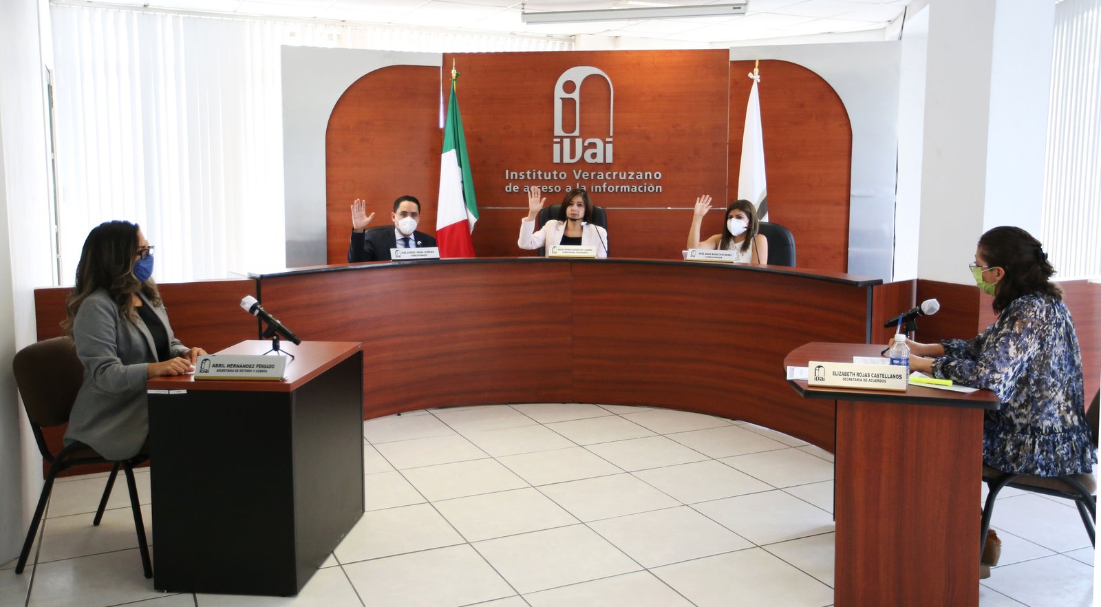 20200903_IVAI_Sesión Pública_1