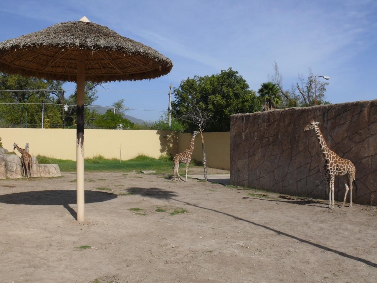 CPB-014-2020.-Zoológico Tamatán, Centro Interpretativo Ecológico (CIE) y Camino Real a Tula iniciarán apertura gradual (2)