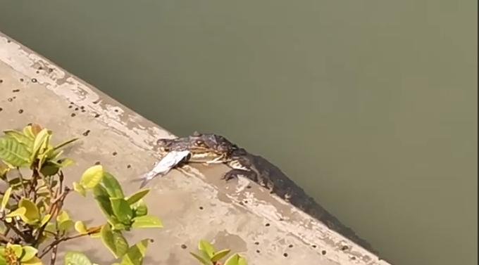 WhatsApp Image 2020-09-17 at 2.35.23 PM