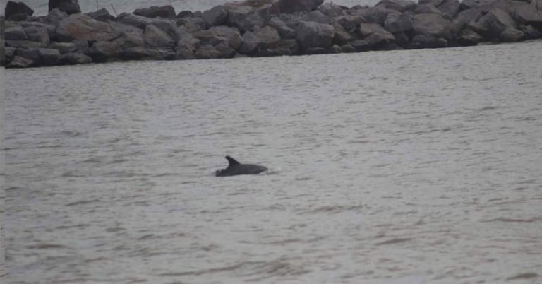 WhatsApp Image 2020-09-17 at 5.41.47 PM