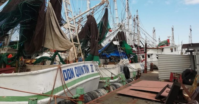 WhatsApp Image 2020-09-23 at 2.30.25 PM