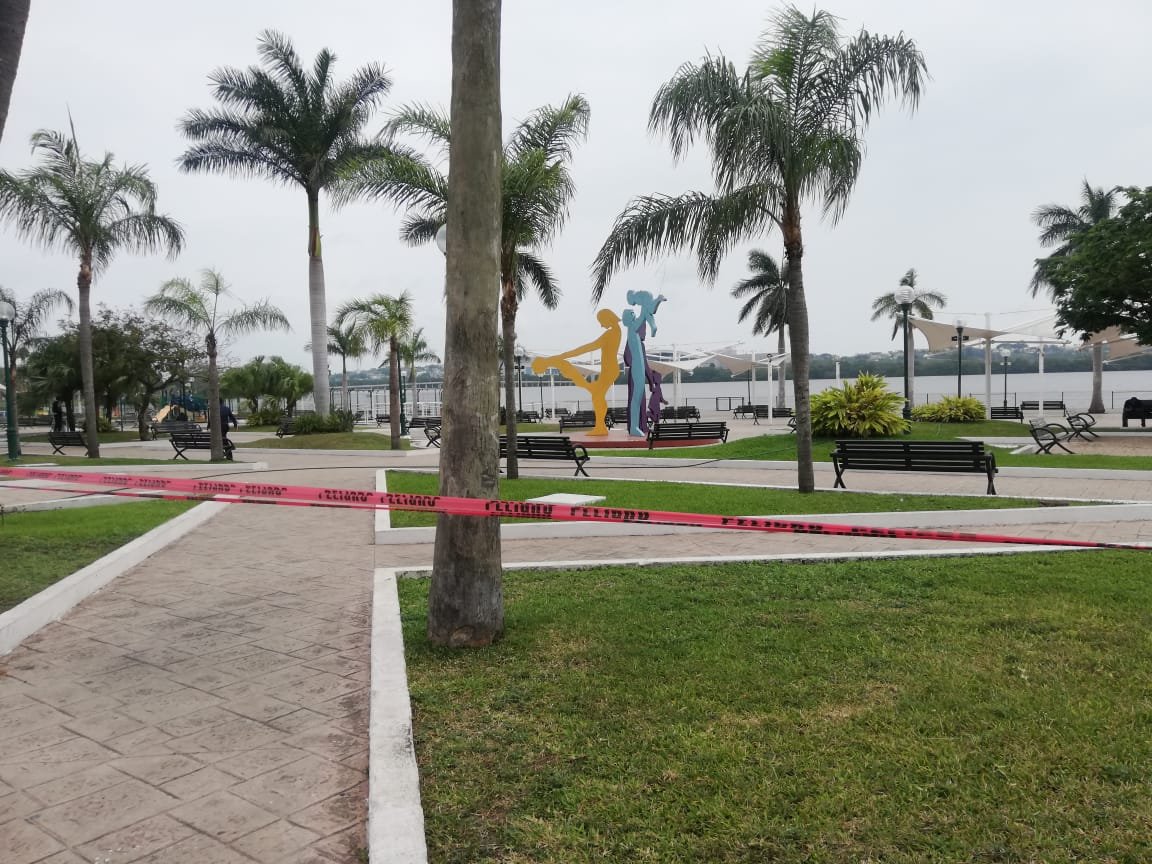 WhatsApp Image 2020-10-12 at 3.08.09 PM