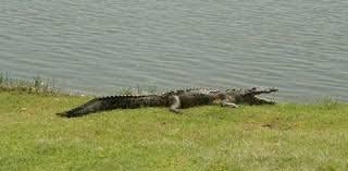 WhatsApp Image 2020-10-19 at 1.41.30 PM