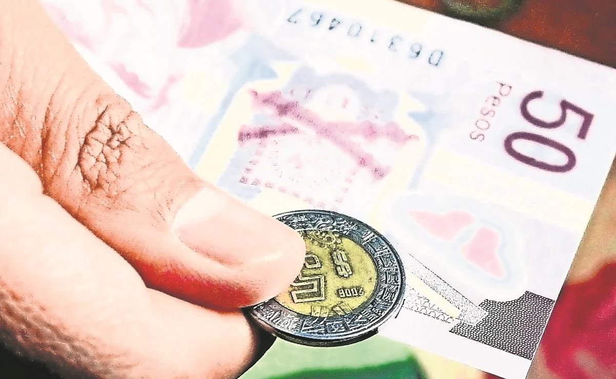 WhatsApp Image 2020-10-30 at 4.01.59 PM