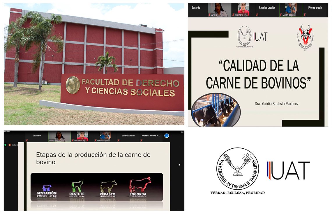 collage FMVZ 21 10 2020