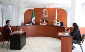 20201124_IVAI_Sesión Pública_1