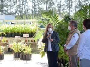 2WhatsApp Image 2020-11-04 at 11.58.55