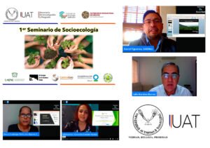 Collage seminario iea 23 11 2020