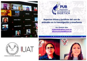 Collage veterinaria 26 11 2020