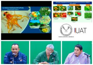 Collage webinar 19 11 2020