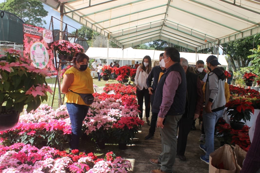 EXTIENDEN JORNADA DE CONSUMO SOLIDARIO (1)