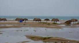 WhatsApp Image 2020-11-06 at 12.26.38 PM