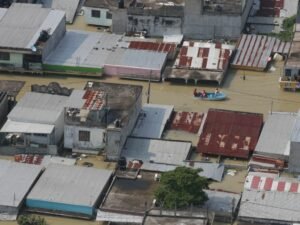 WhatsApp Image 2020-11-10 at 12.19.33 PM