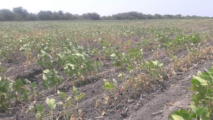 WhatsApp Image 2020-11-11 at 8.55.57 AM