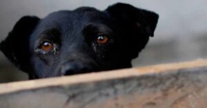 WhatsApp Image 2020-11-13 at 9.53.15 AM