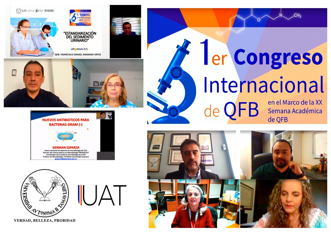 Collage congreso químico 06 12 2020 (1)