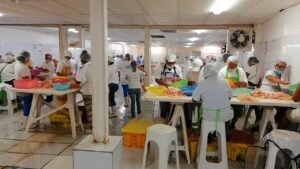 WhatsApp Image 2020-12-01 at 2.31.42 PM