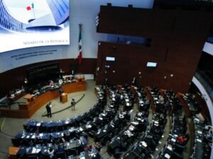 WhatsApp Image 2020-12-01 at 3.52.56 PM