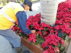 WhatsApp Image 2020-12-08 at 2.28.15 PM