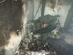 WhatsApp Image 2020-12-08 at 5.33.38 PM