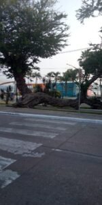 WhatsApp Image 2020-12-14 at 2.33.50 PM