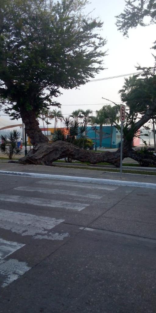 WhatsApp Image 2020-12-14 at 2.33.50 PM