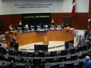 WhatsApp Image 2020-12-15 at 2.57.51 PM