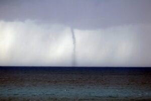 WhatsApp Image 2020-12-17 at 3.45.05 PM