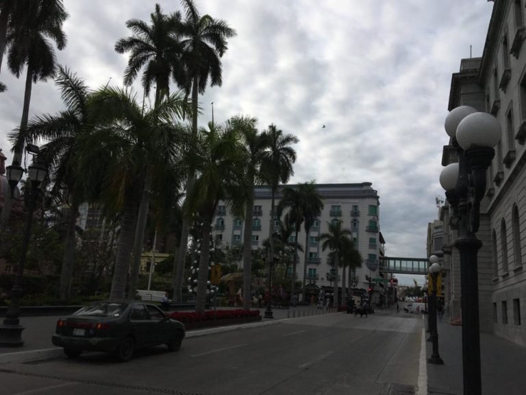 WhatsApp Image 2020-12-23 at 10.42.51 AM