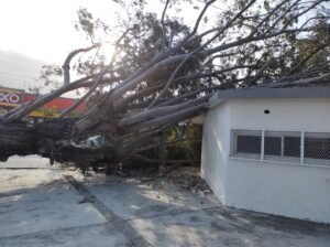 WhatsApp Image 2020-12-24 at 1.28.23 PM