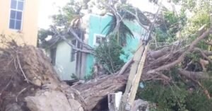 WhatsApp Image 2020-12-24 at 2.22.23 PM