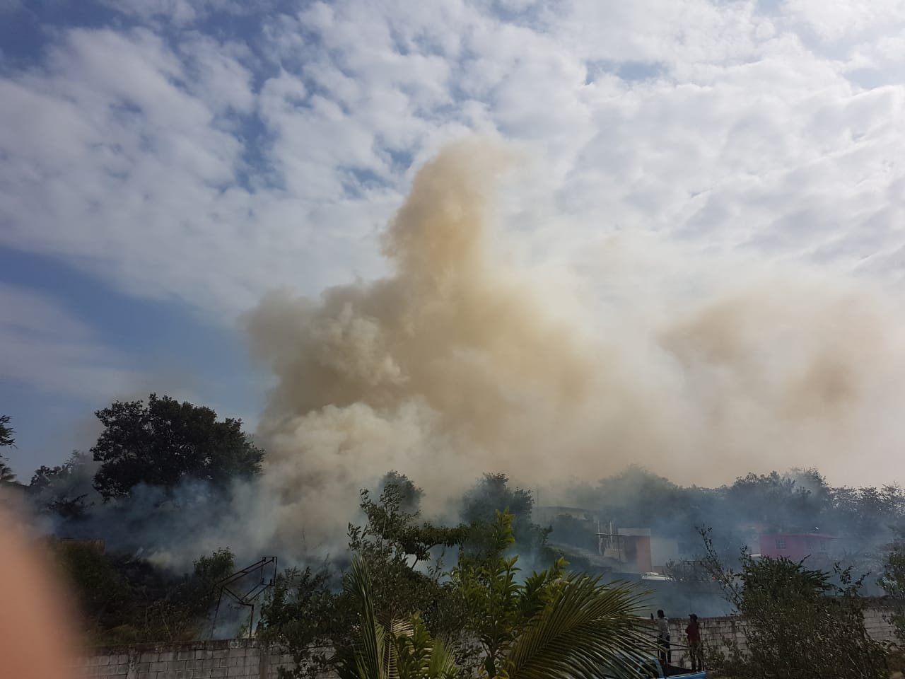 WhatsApp Image 2020-12-24 at 2.56.45 PM