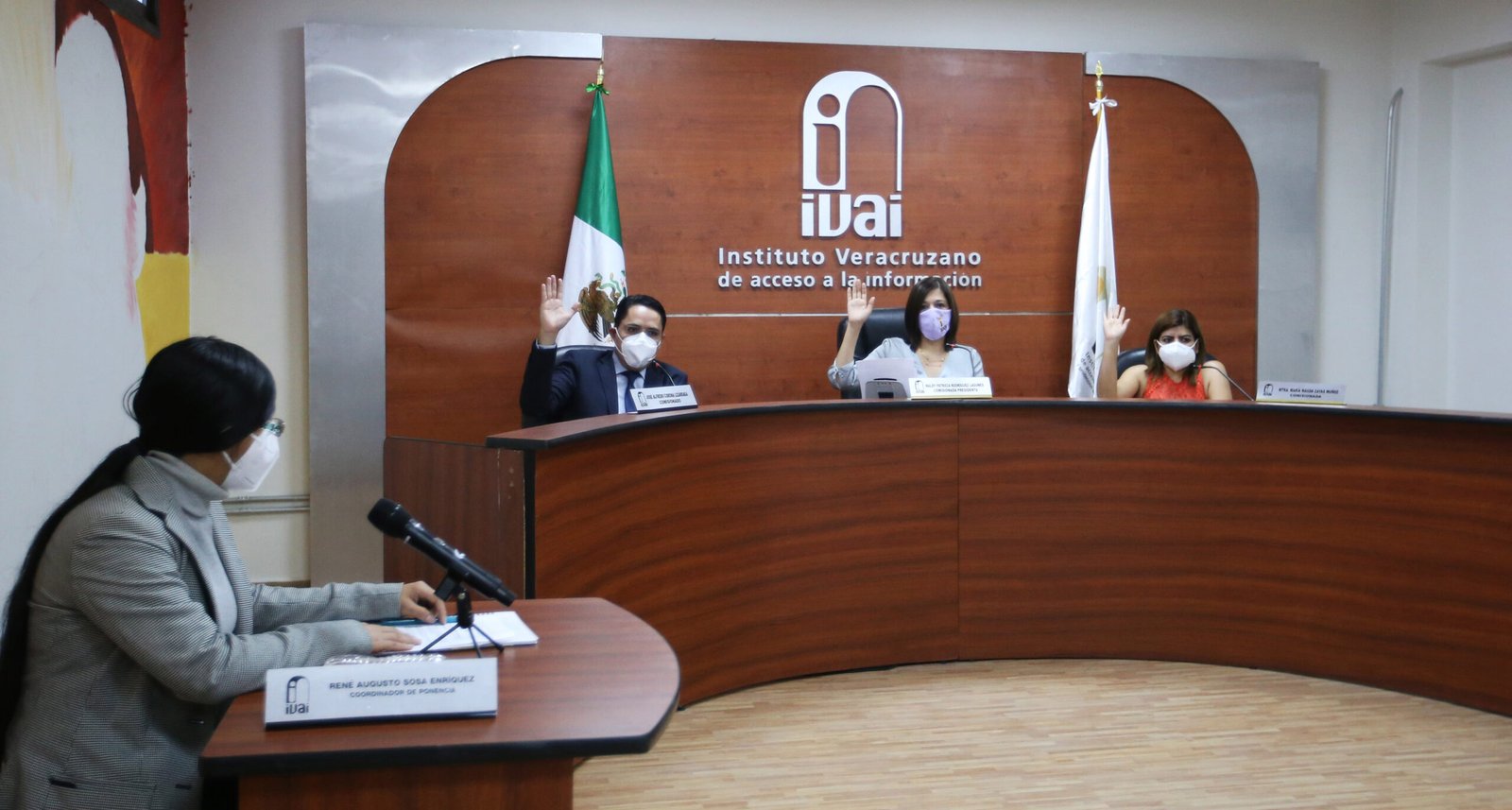 20210127_IVAI_Sesión Pública_1