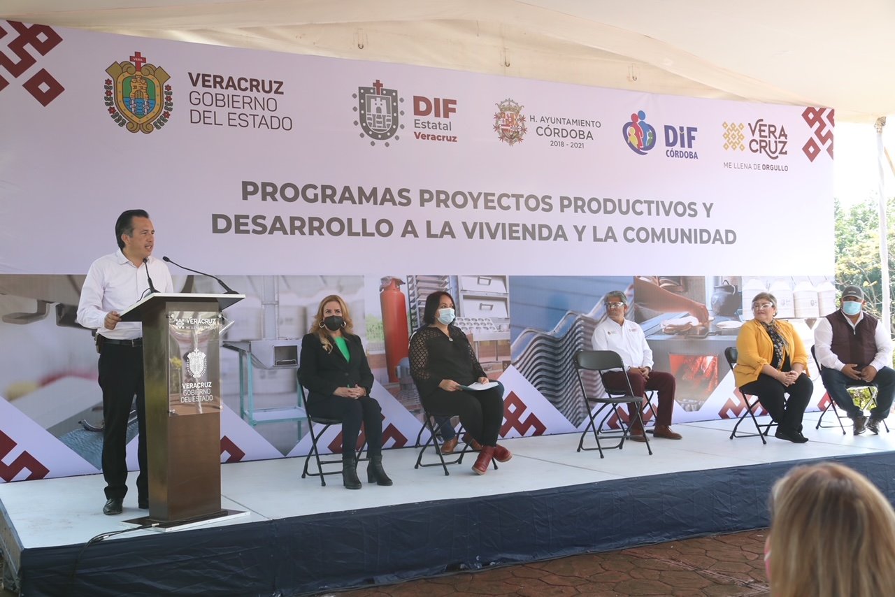 DESARROLLO DE VIVIENDA Y PROYECTOS PRODUCTIVOS (1)